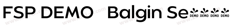 FSP DEMO   Balgin Se字体转换